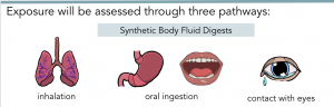 cartoon drawings of lungs, stomach, mouth, eyes